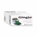 Gingio 40mg 100 potahovanch tablet