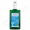 WELEDA alvjov deodorant 100ml