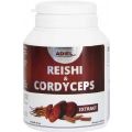 Adiel Reishi&Cordyceps cps.90