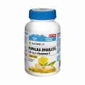 NatureVia Pupalka dvoulet 500mg+vit.E 90 kapsl