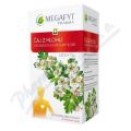Megafyt aj z hlohu 20x 1,5 g