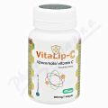 VitaLip-C - lipozomln vitamn C 60 kapsl
