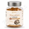 Hl�va �st�i�n� 500mg gummies 60ks