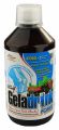 Geladrink Forte biosol ern rybz 500ml