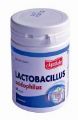 Apotheke Lactobacillus acidophilus tbl.60