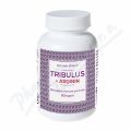 NATURVITA Tribulus + Arginin 90 kapsl