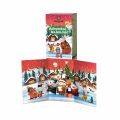 aj Sonnentor Adventn kalend BIO 37,5g