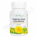 Dr.Popov Pampeli�ka bylina+extrakt cps.60