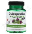Ostropestec+curcumin forte cps.60 Galmed