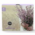 LEROS D�kuji v�b�r bylinn�ch �aj� 6x5s��k�