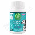 Zelen� Zem� kloubn� v��iva s CBD pro psy cps.60