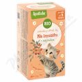 Apotheke Pohádkový dětský čaj Imunita BIO 20x1.5g