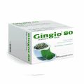 Gingio 80mg 120 potahovanch tablet