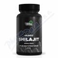 Naturprodukt Mumio Shilajit imunita&�nava cps.90
