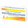 Boiron Oscillococcinum perorln granule 6x1g