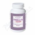 Tribulus + Arginin tbl.90