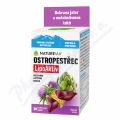 NatureVia Ostropestec LipoAktiv 30 tablet